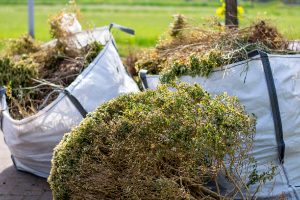 Demolition Debris Removal in Flora, MS